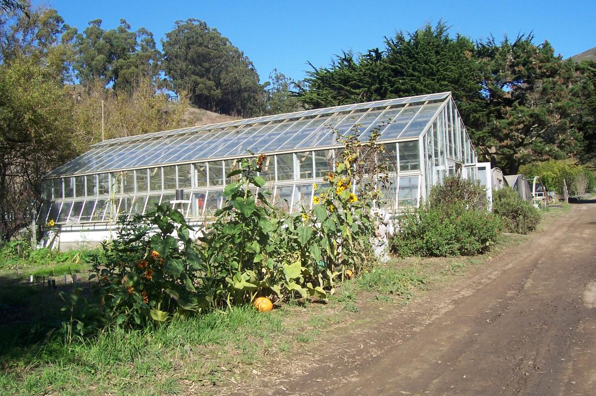 Greenhouse 2 